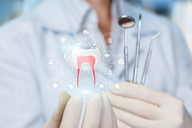  St Cloud, MN Holistic Dental Services Pros